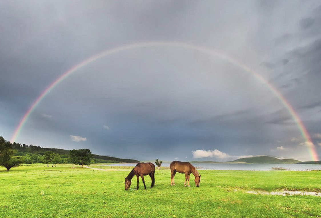 188331230 2846095165655512 7887946178557917512 n.webp