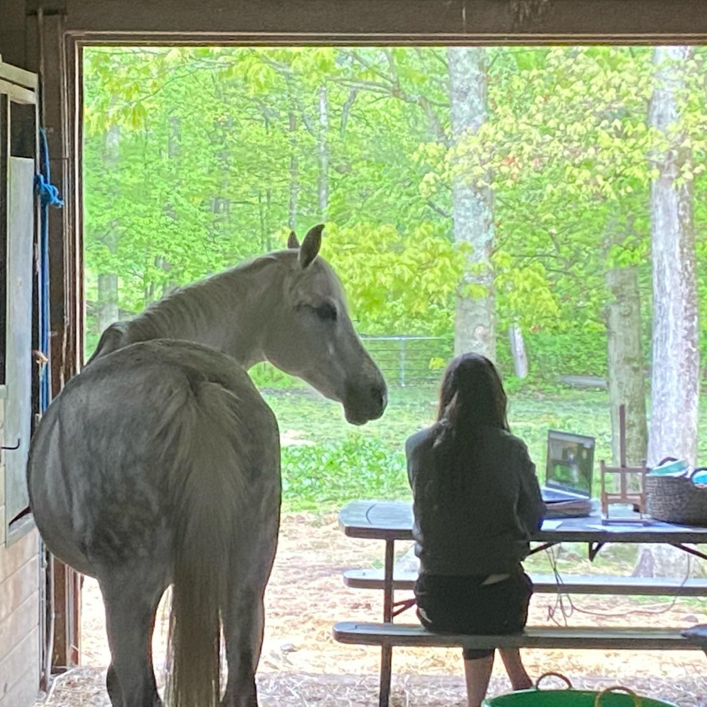 99156884 2548872452044453 7067259546154041344 n