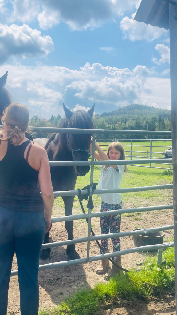 f8fec2a4 0504 48d9 a147 29ae78f83f51.webp